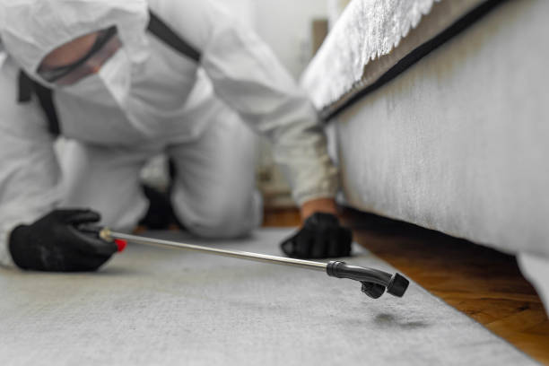 Professional Termite Control technician working in Olive Branch, MS