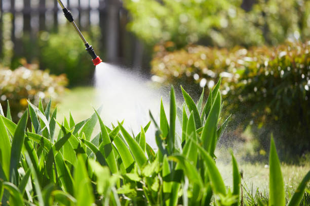 24/7 Emergency Termite Control experts in Olive Branch, MS
