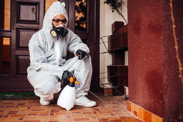 Reliable Termite Control contractor in Olive Branch, MS by Nex Pest Control